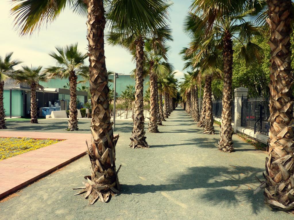 4Seasons San Nicolas Apartment Málaga Oda fotoğraf